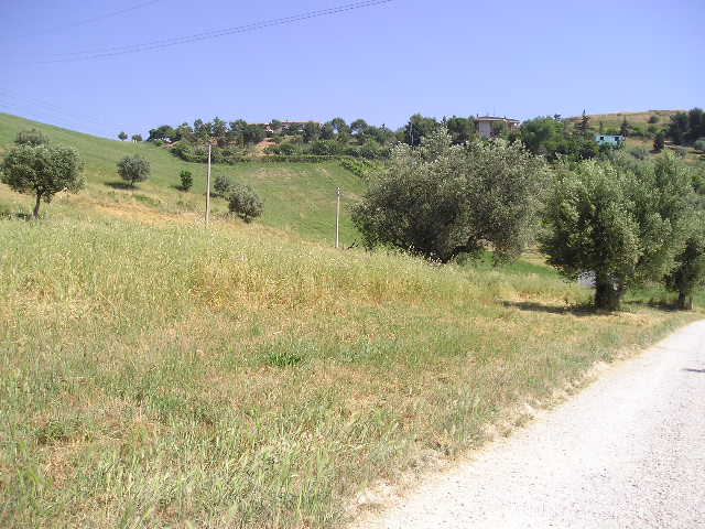 Terreno Agricolo in vendita a Monteprandone