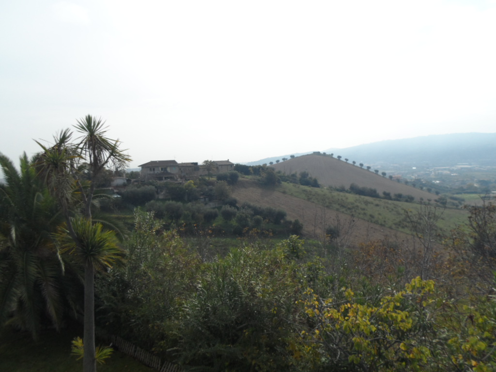 Terreno Agricolo in vendita a Monteprandone