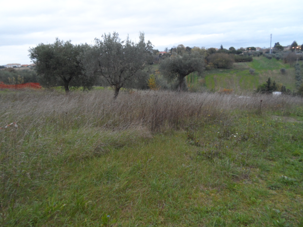 Terreno edificabile in vendita a Castel di Lama, Piattoni