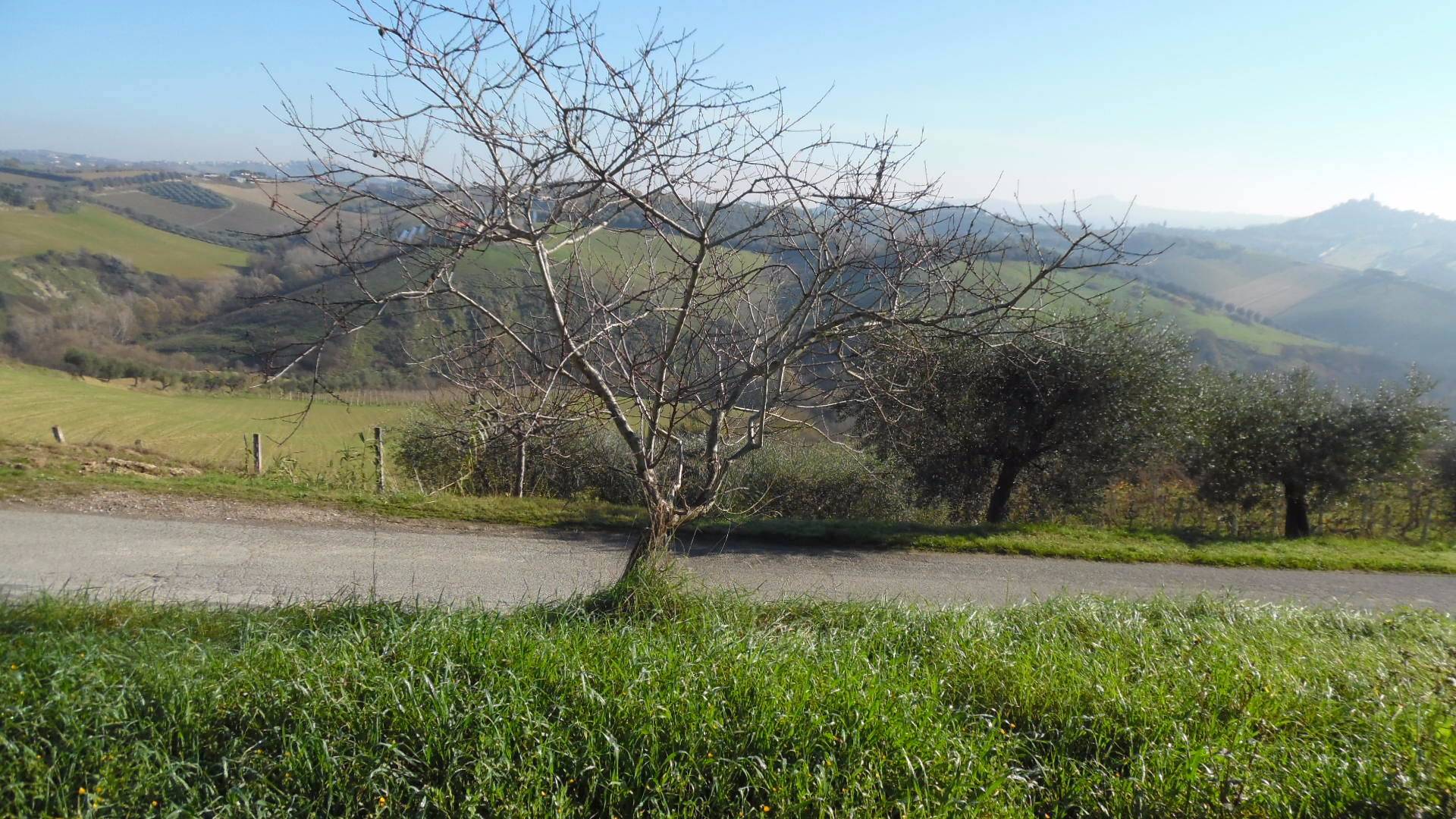 immagine annuncio 4 di 6