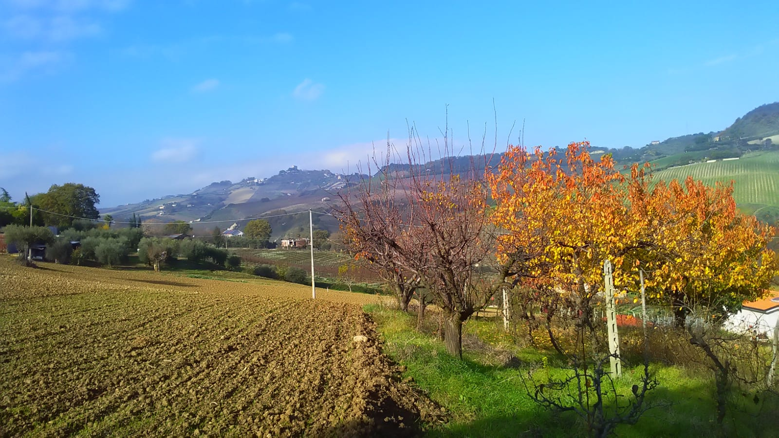 immagine annuncio 2 di 6
