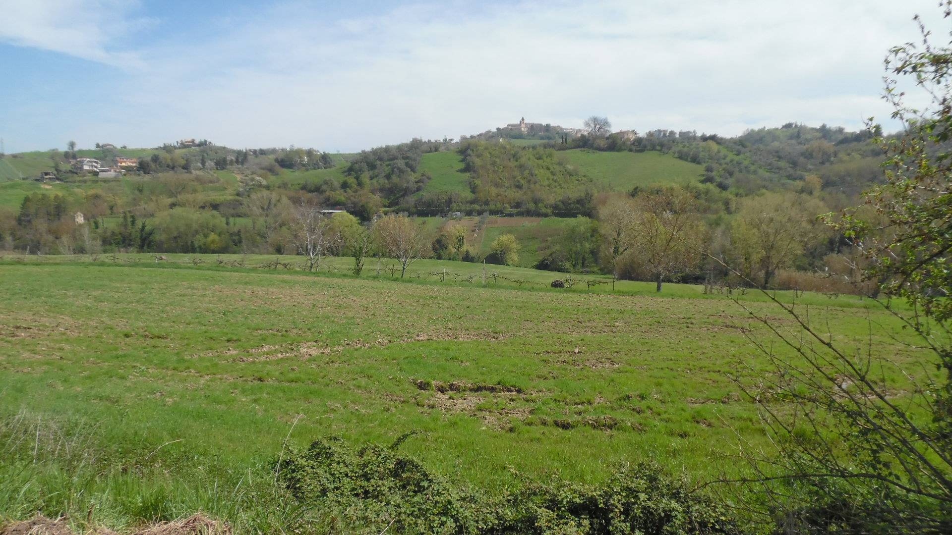 Terreno Agricolo in vendita a Montefiore dell'Aso, Aso