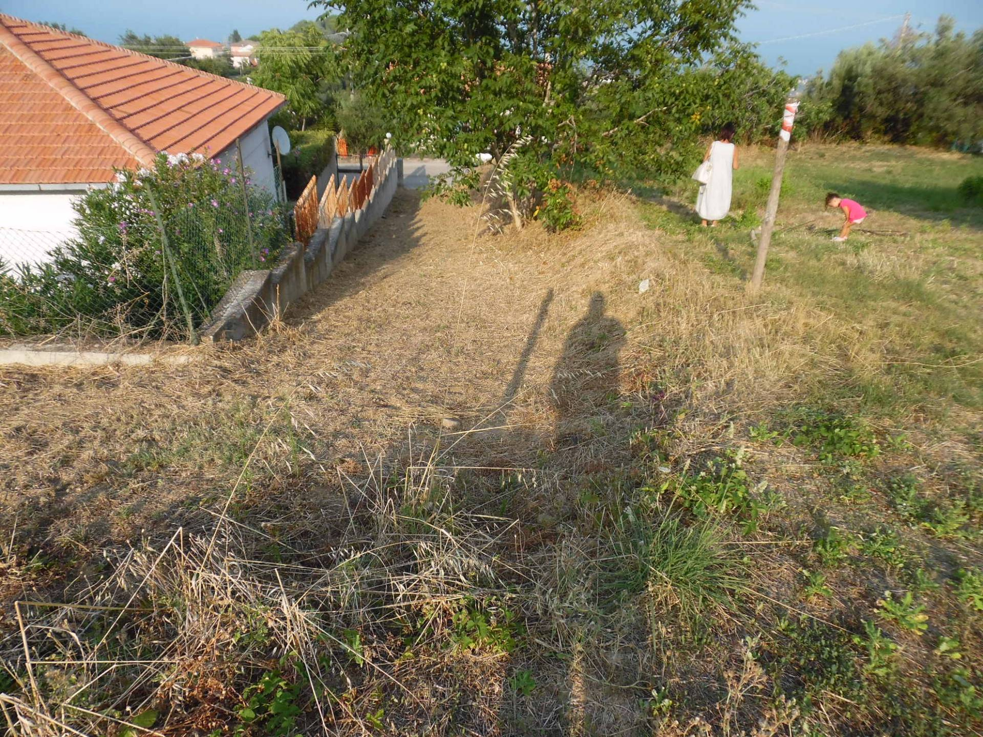 immagine annuncio 2 di 6
