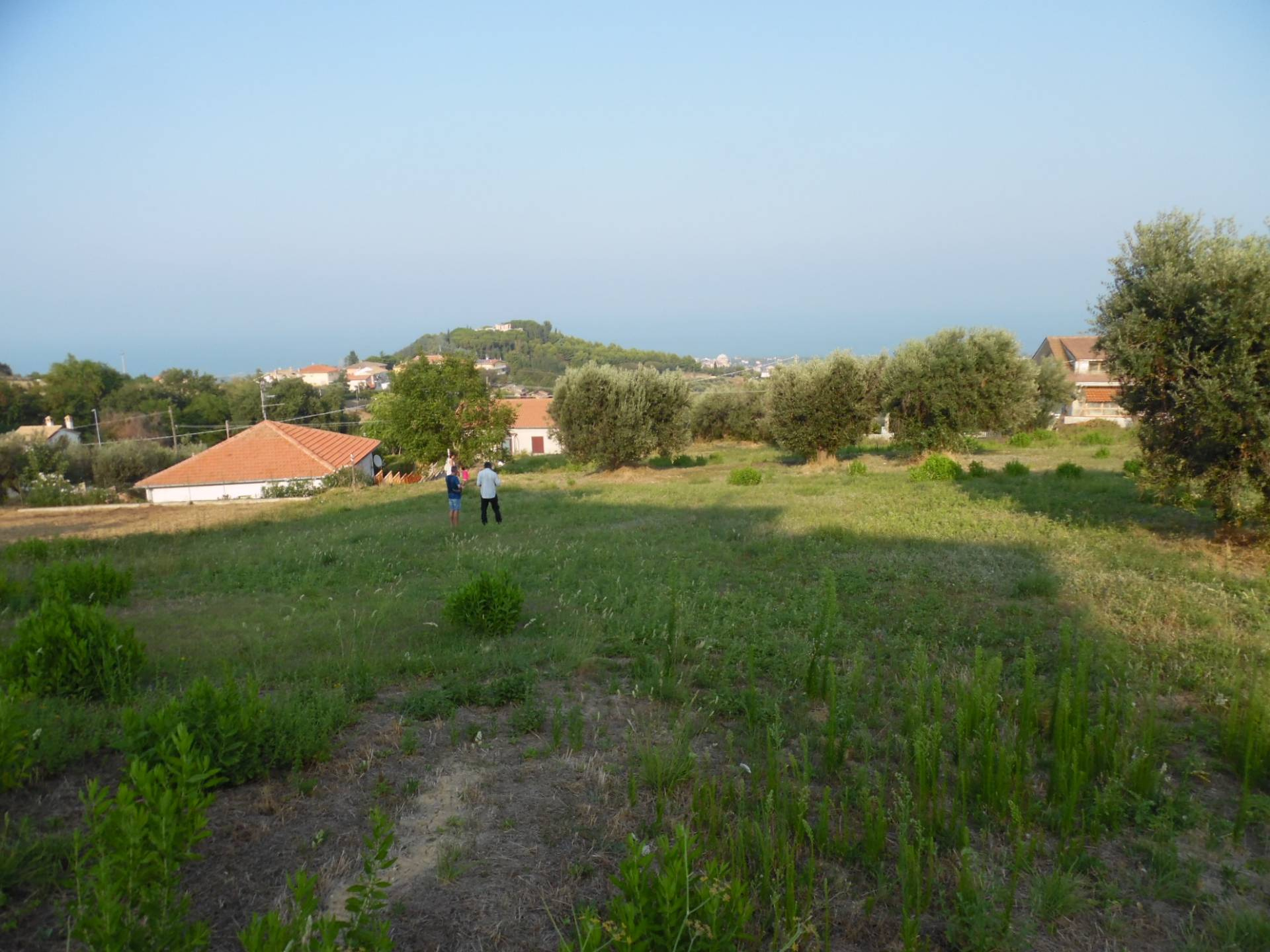 immagine annuncio 3 di 6