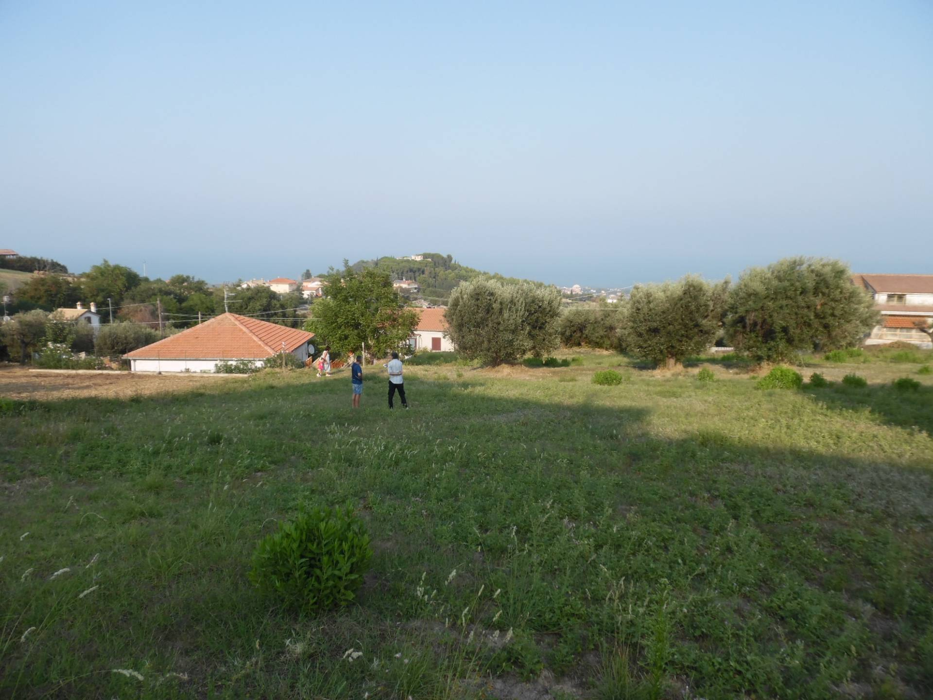 immagine annuncio 5 di 6