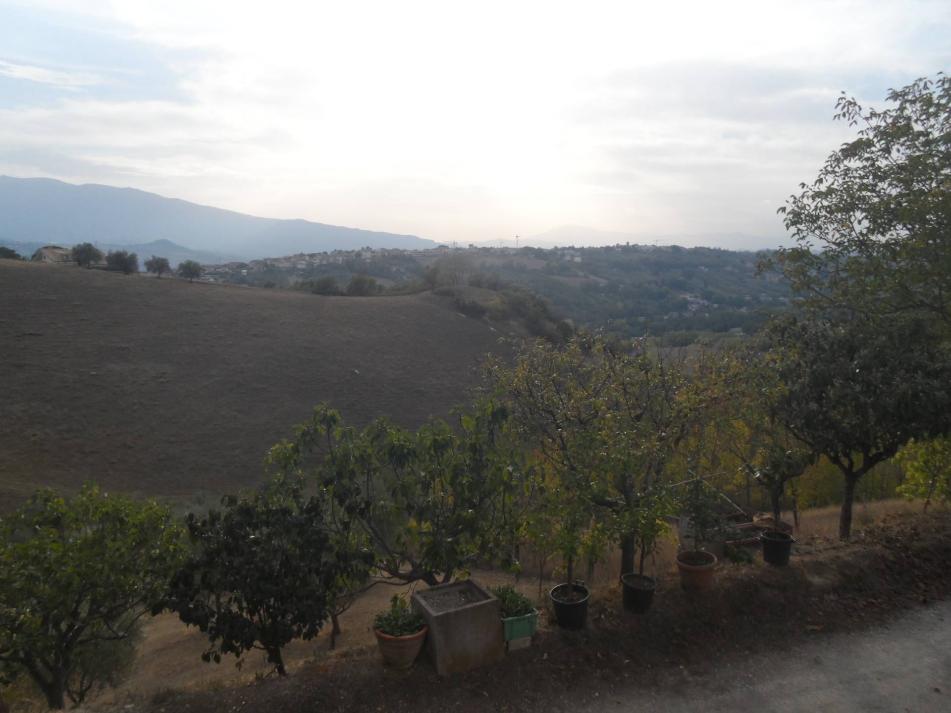 immagine annuncio 4 di 6