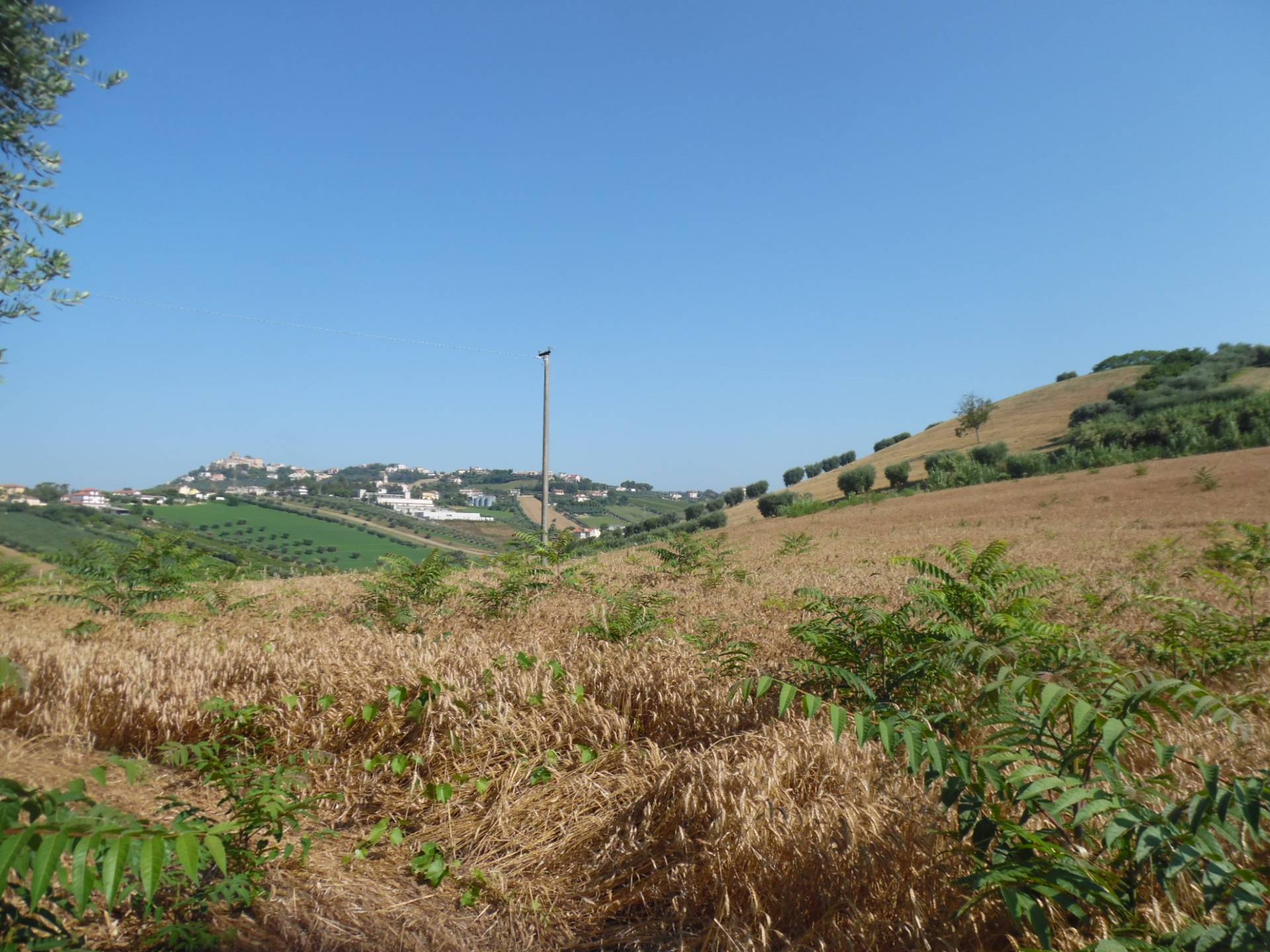 immagine annuncio 4 di 6
