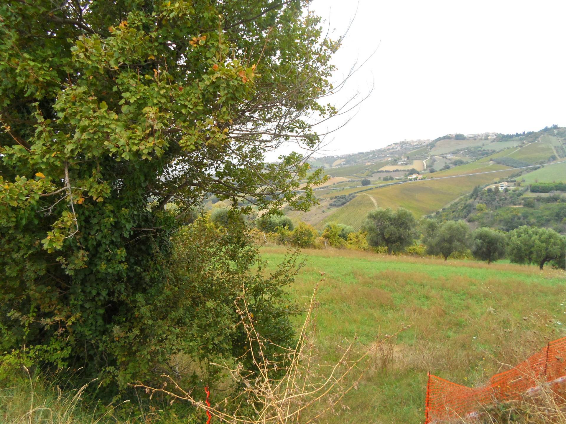 Terreno Agricolo in vendita a Monteprandone