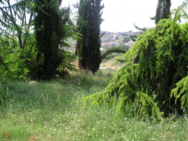 Terreno edificabile in vendita a Colonnella