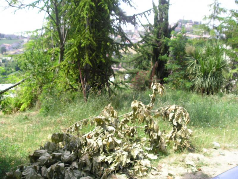 Terreno edificabile in vendita a Colonnella