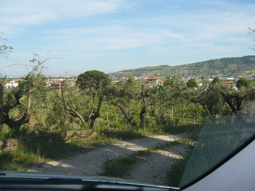 Terreno edificabile in vendita a Monteprandone