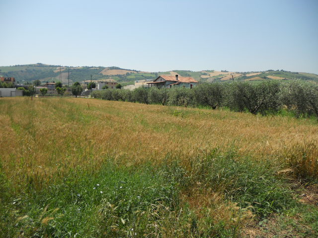 Terreno edificabile in vendita a Spinetoli, Pagliare del Tronto
