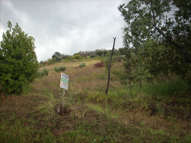 Terreno Agricolo in vendita a Colonnella