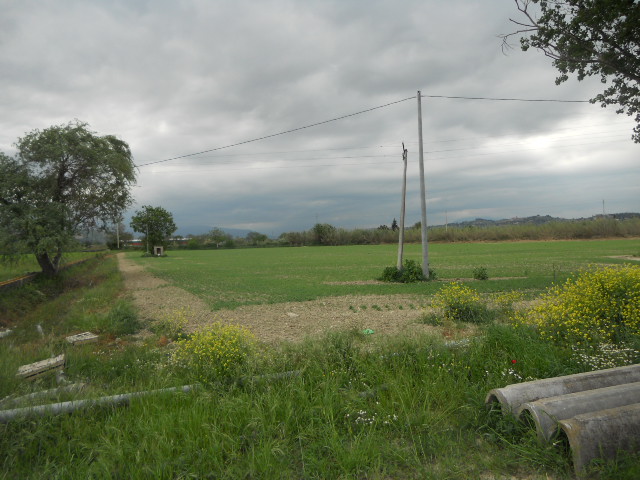 Casolare in vendita a Controguerra