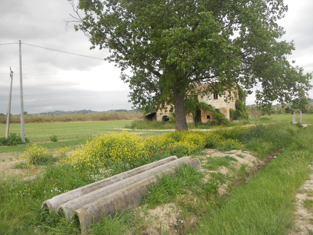 Casolare in vendita a Controguerra