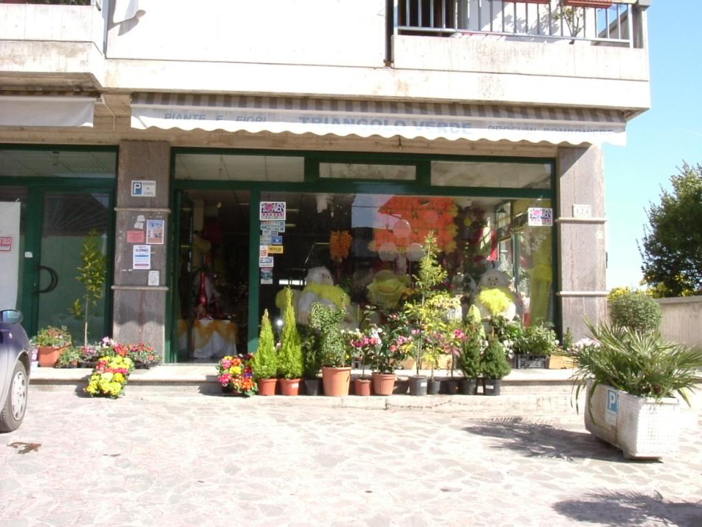 Locale commerciale in vendita a Spinetoli