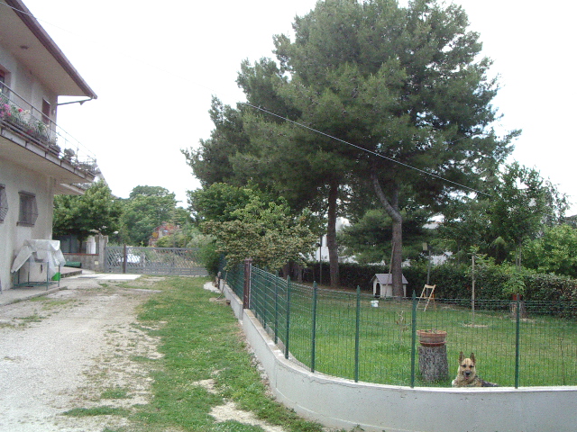 Locale artigianale in affitto a Colonnella