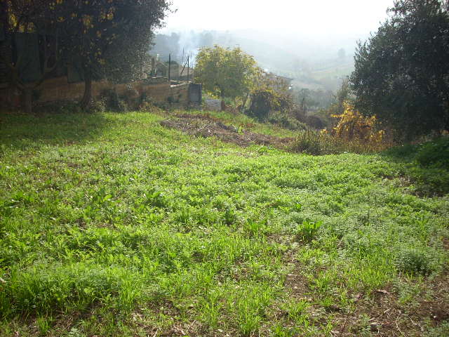 Casolare in vendita a Monteprandone