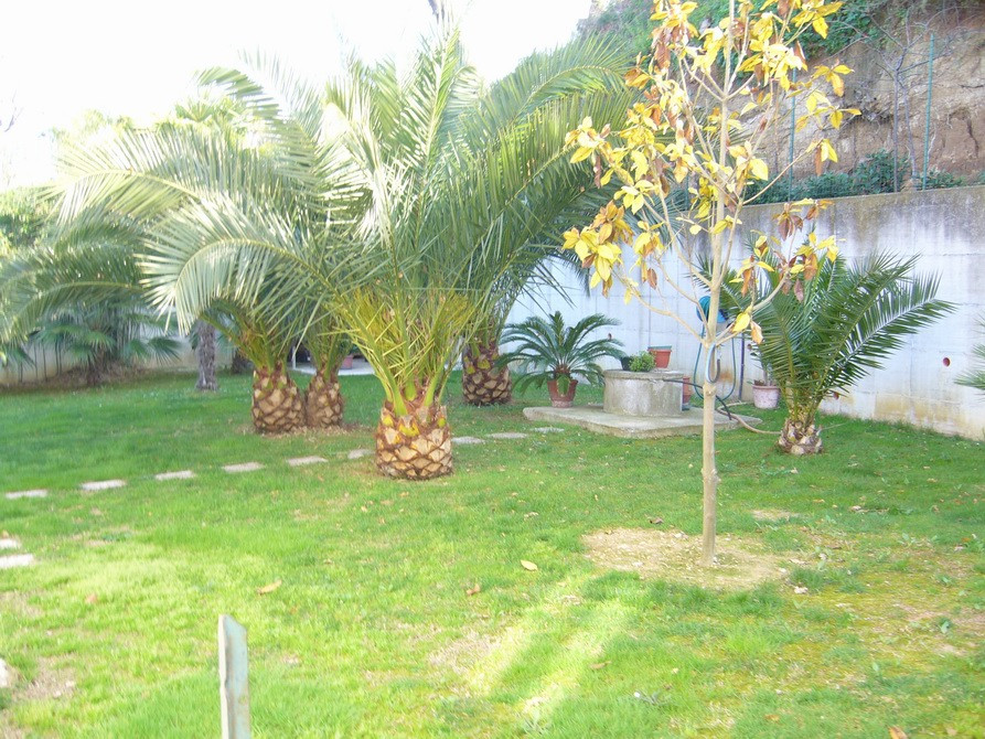 Casa indipendente in vendita a Acquaviva Picena