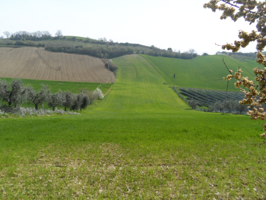 Terreno Agricolo in vendita a Acquaviva Picena, Forola