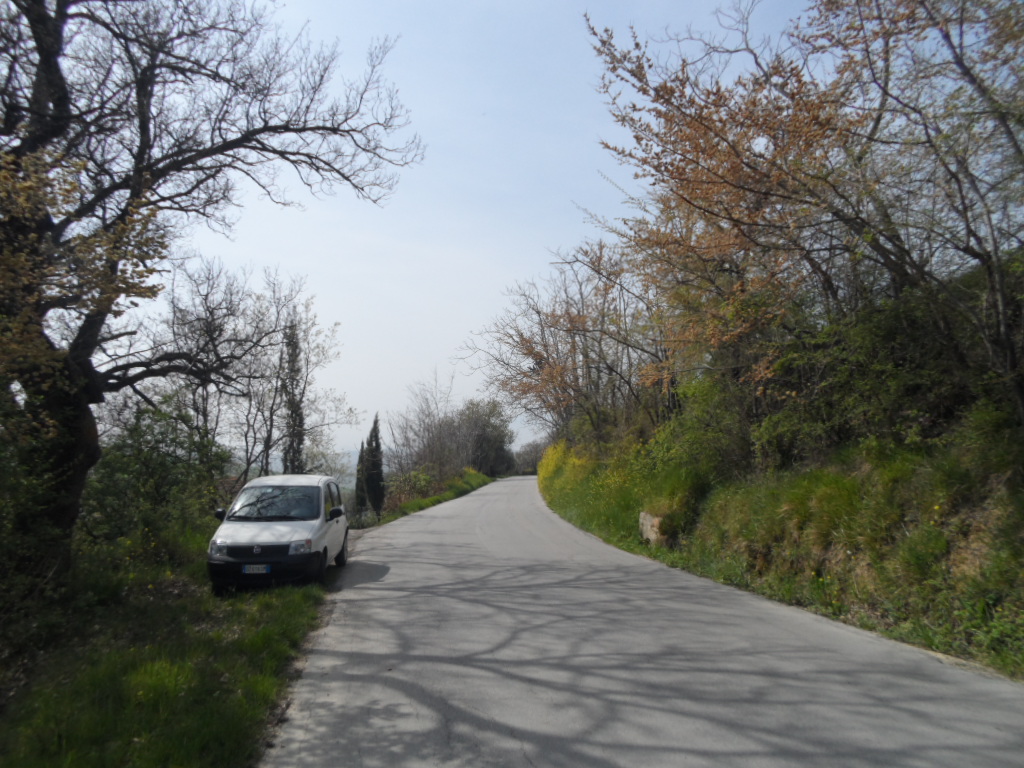 immagine annuncio 6 di 8