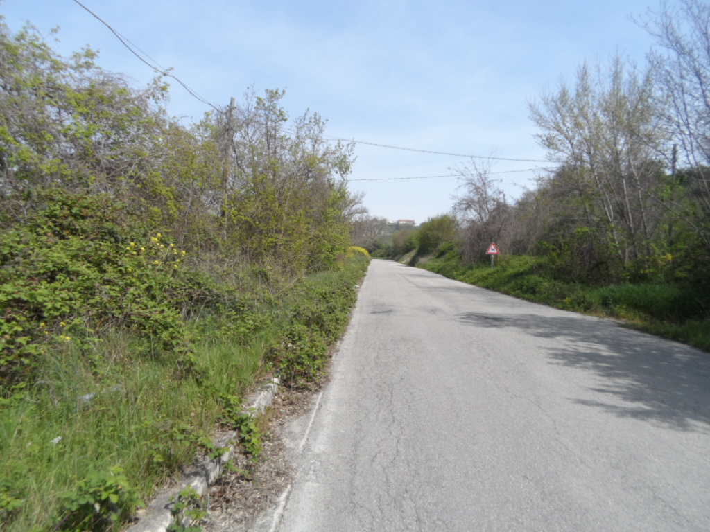 immagine annuncio 7 di 8