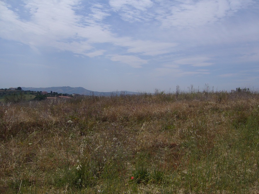 Casolare in vendita a Controguerra, Panoramica