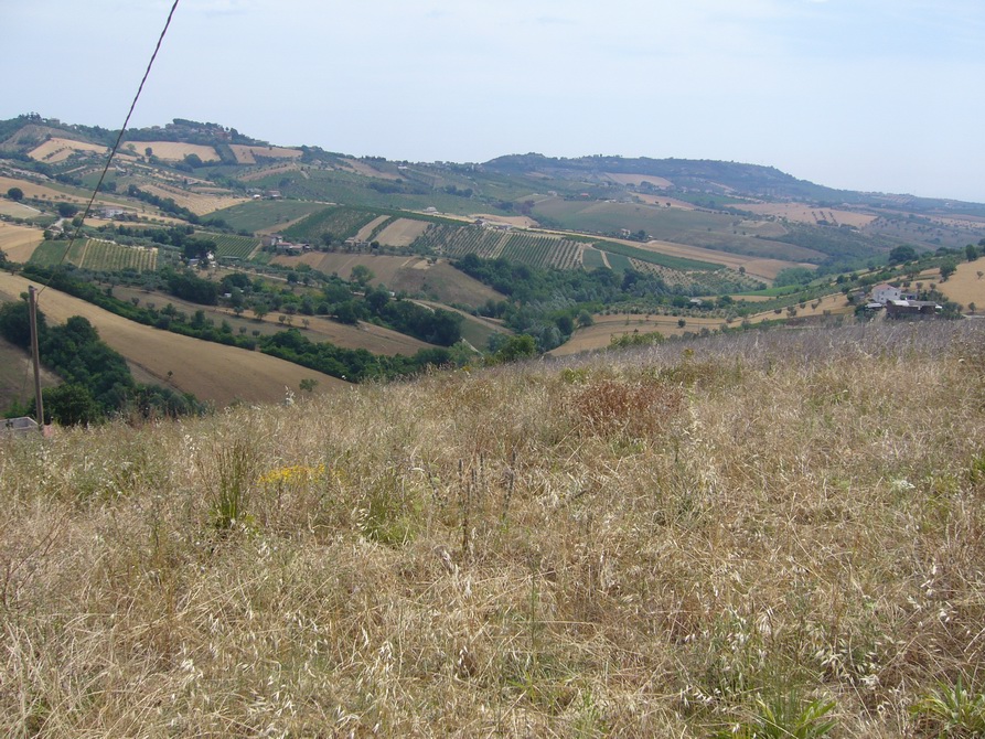 Casolare in vendita a Controguerra, Panoramica