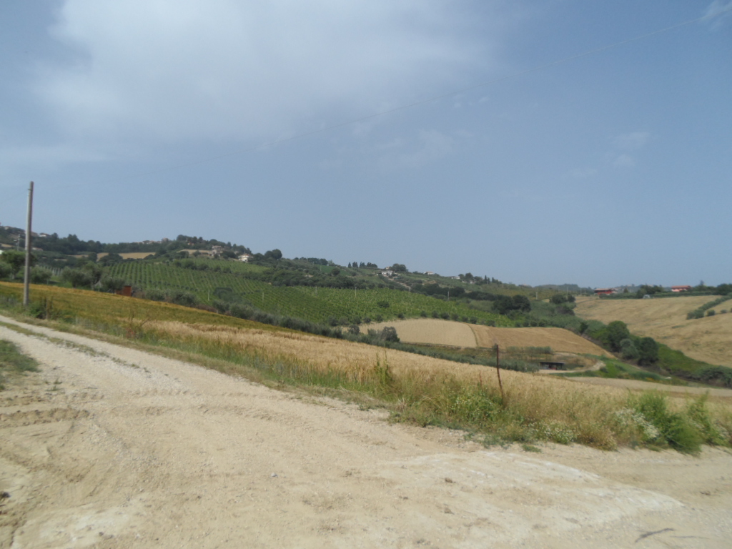Terreno Agricolo in vendita a Colonnella, Contrada Rio Moro
