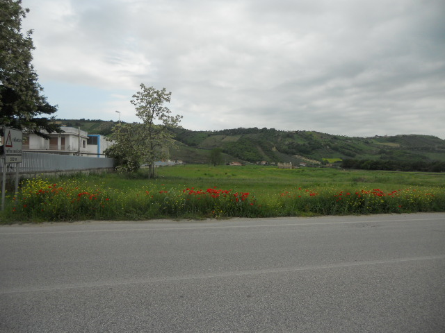 Terreno edificabile in vendita a Controguerra