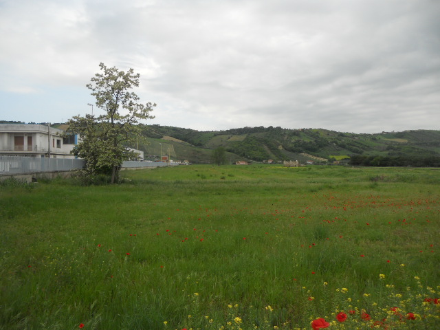 Terreno edificabile in vendita a Controguerra