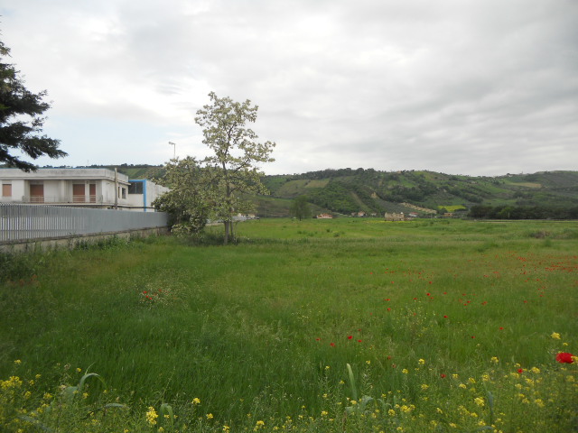 Terreno edificabile in vendita a Controguerra