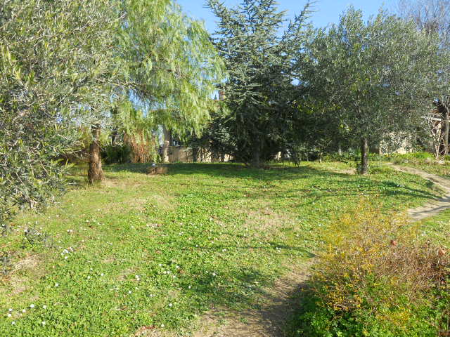 Terreno Agricolo in vendita a Monteprandone