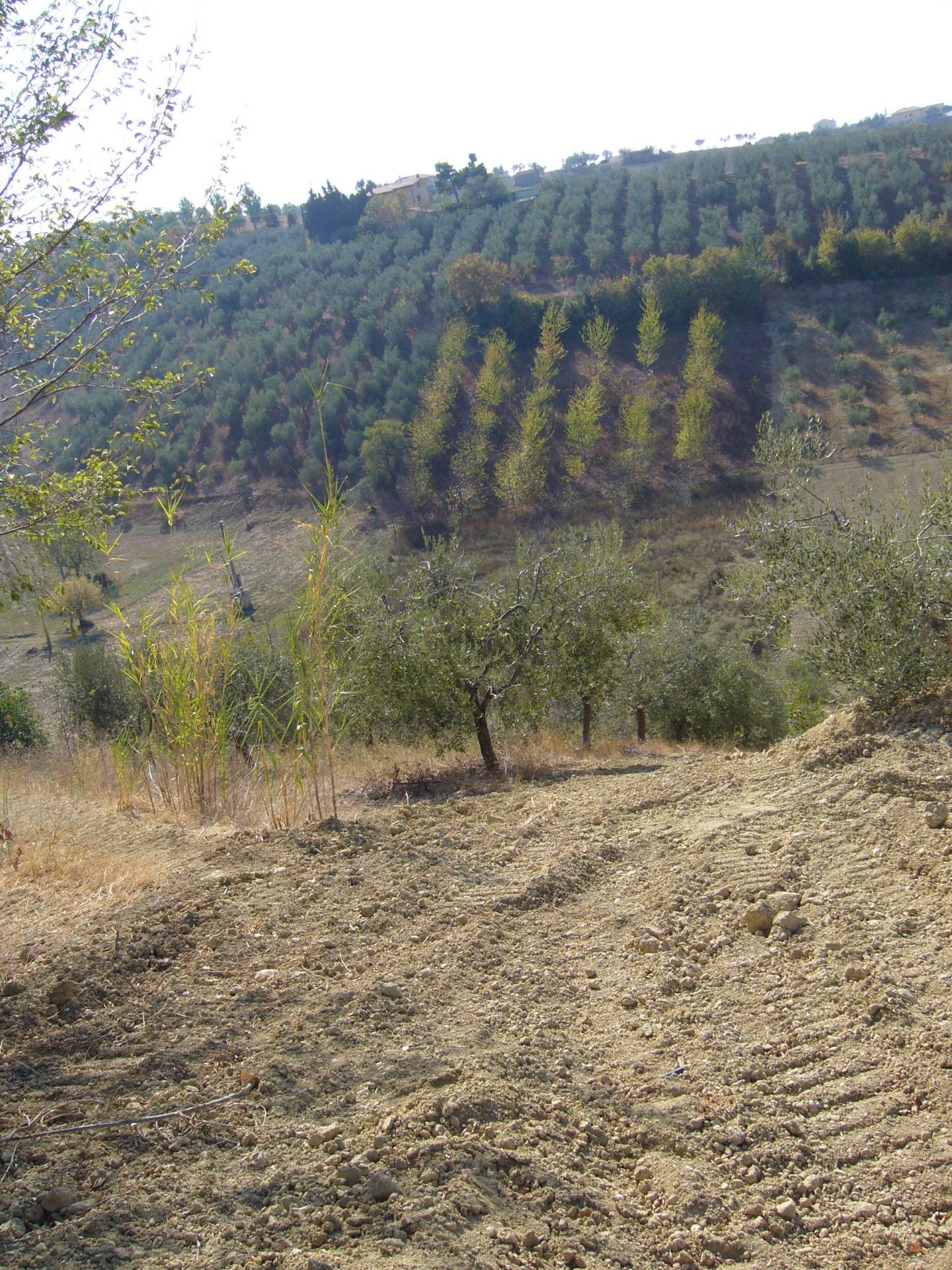 Terreno edificabile in vendita a Tortoreto, Cavatassi