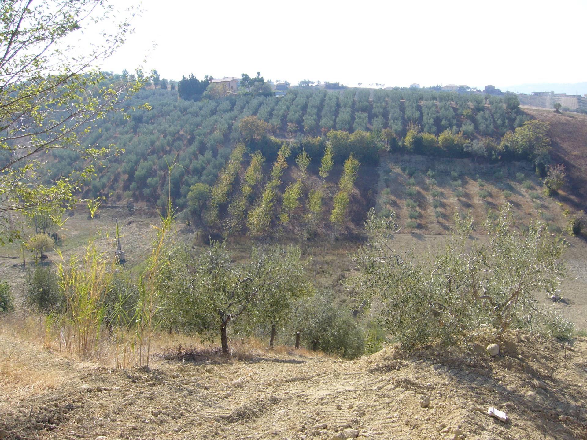 Terreno edificabile in vendita a Tortoreto, Cavatassi