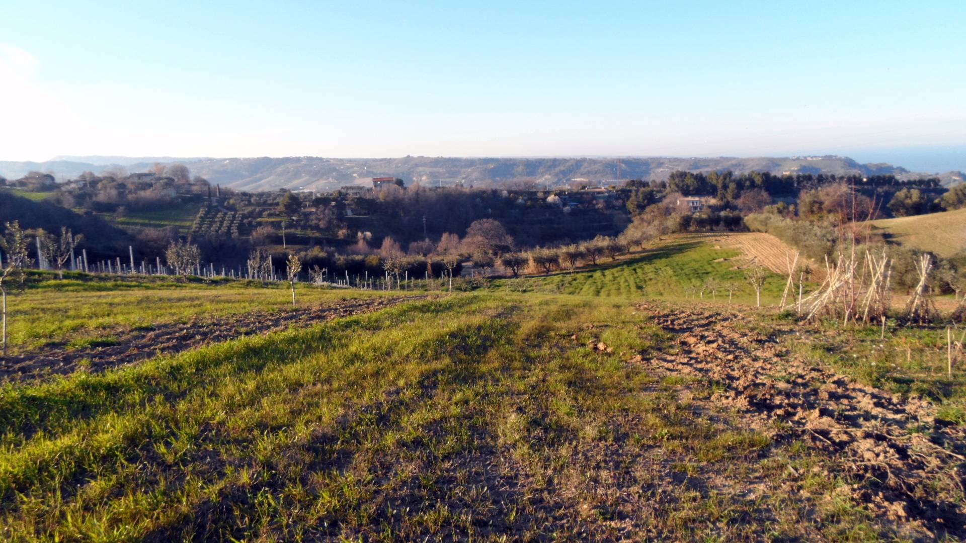 Terreno Agricolo in vendita a San Benedetto del Tronto, Collinare
