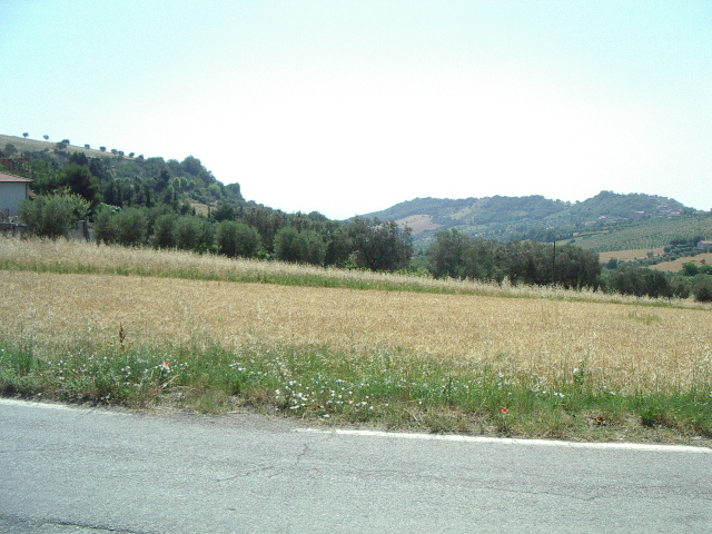Terreno edificabile in vendita a Colonnella, San Martino