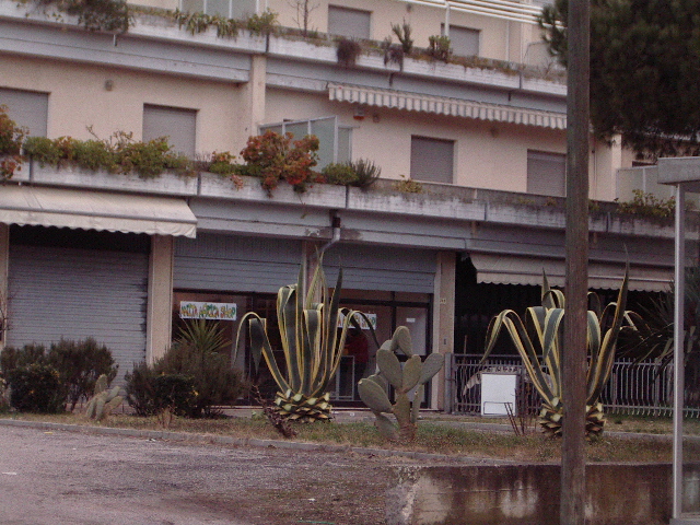 Locale commerciale in vendita a Martinsicuro, Villa Rosa