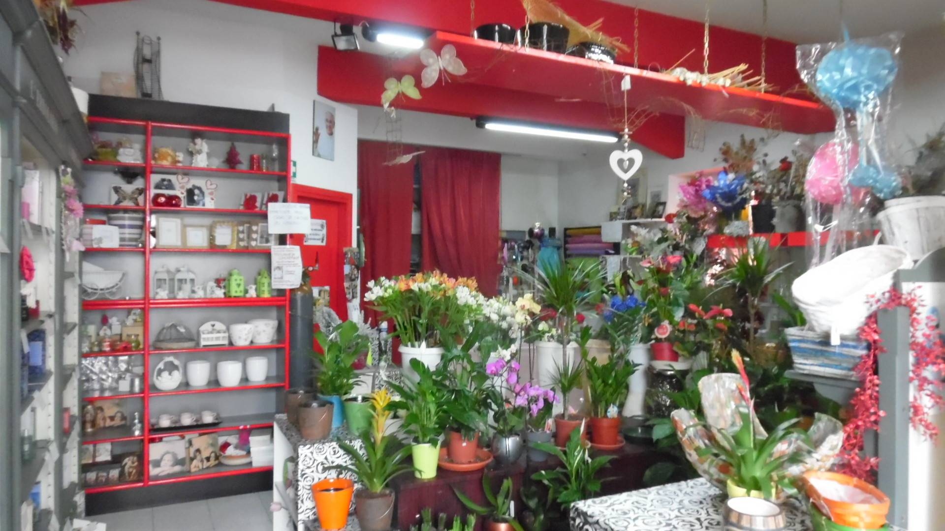 Locale commerciale in vendita a Folignano