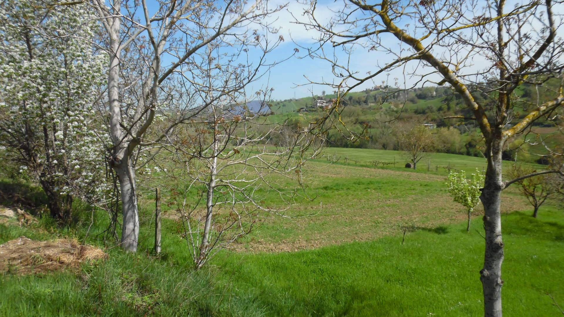 Terreno Agricolo in vendita a Spinetoli