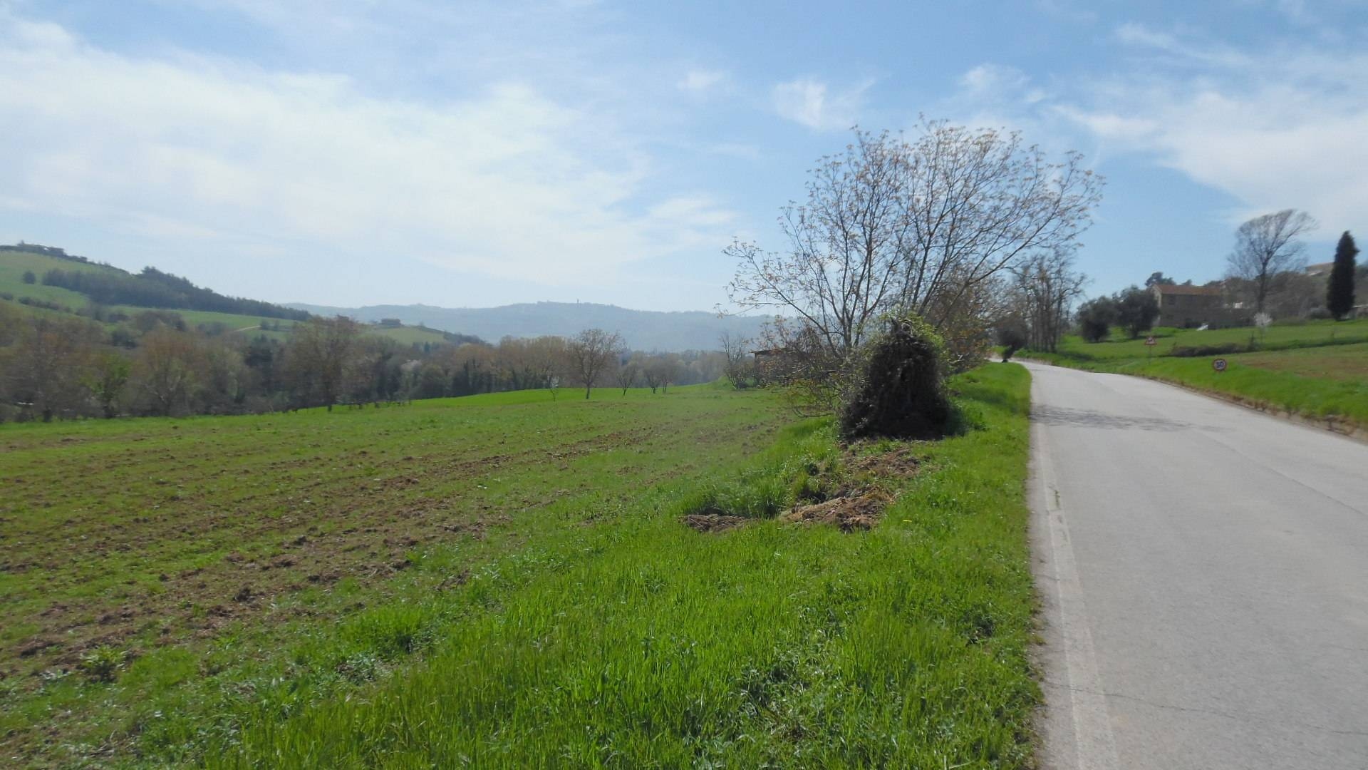 Terreno Agricolo in vendita a Spinetoli