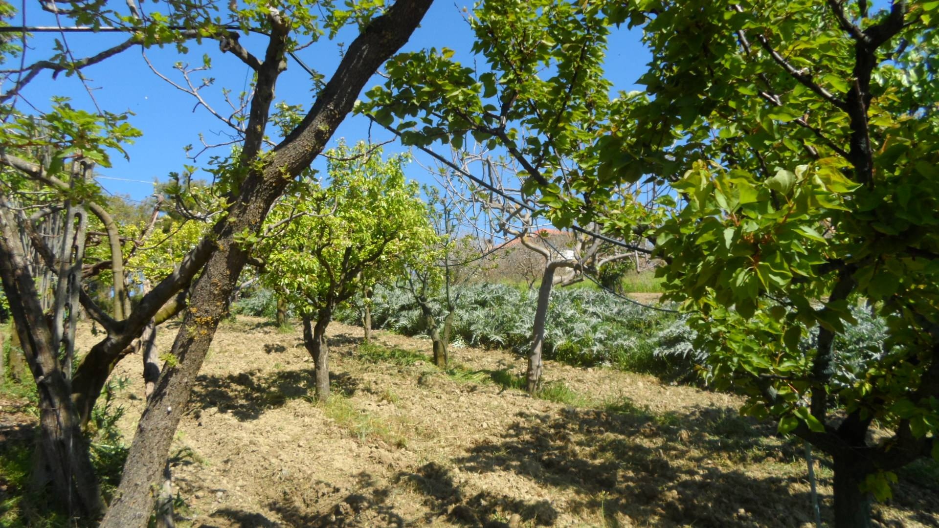 Terreno edificabile in vendita a Offida, San Barnaba