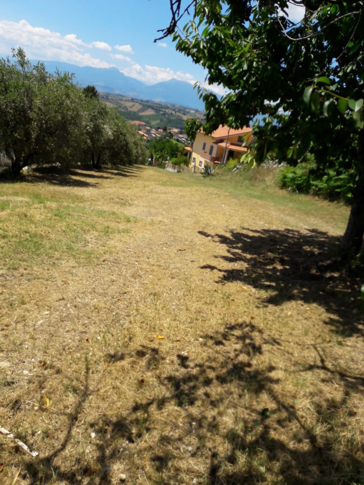 Terreno edificabile in vendita a Colonnella, Contrada Rio Moro