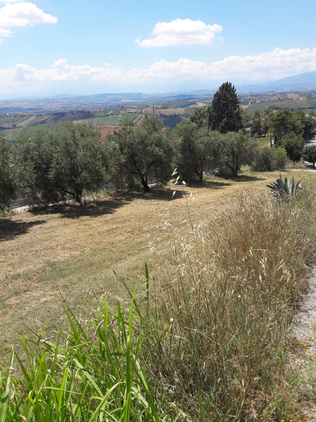 Terreno edificabile in vendita a Colonnella, Contrada Rio Moro