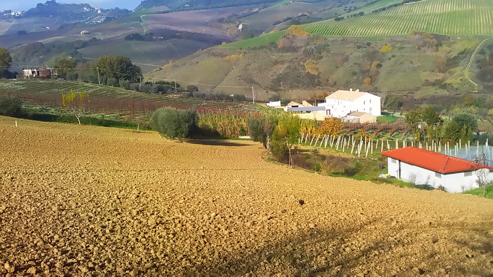 Terreno Agricolo in vendita a Monteprandone, Centobuchi