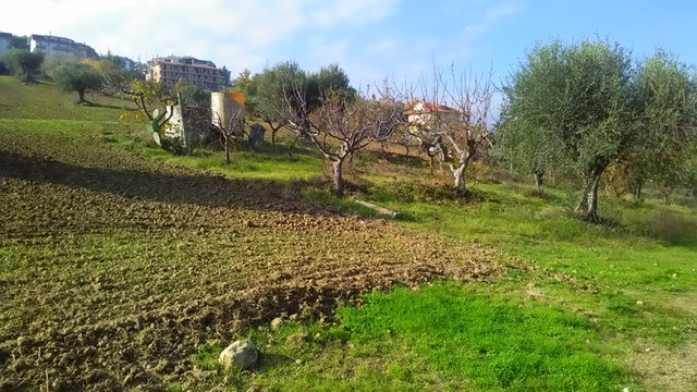 Terreno Agricolo in vendita a Monteprandone, Centobuchi