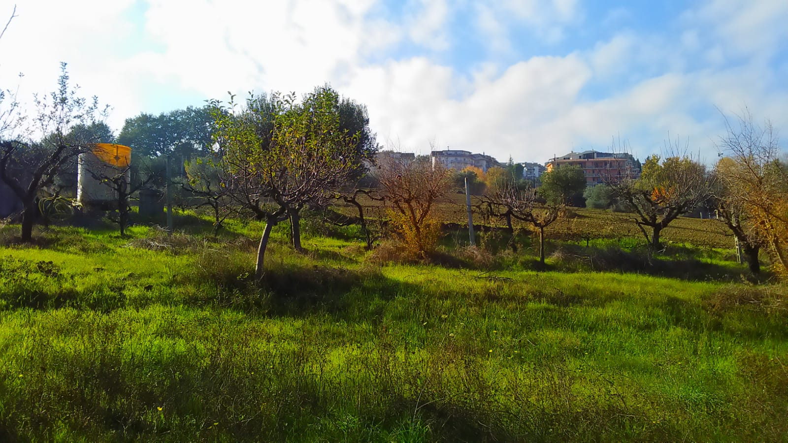 Terreno Agricolo in vendita a Monteprandone, Centobuchi