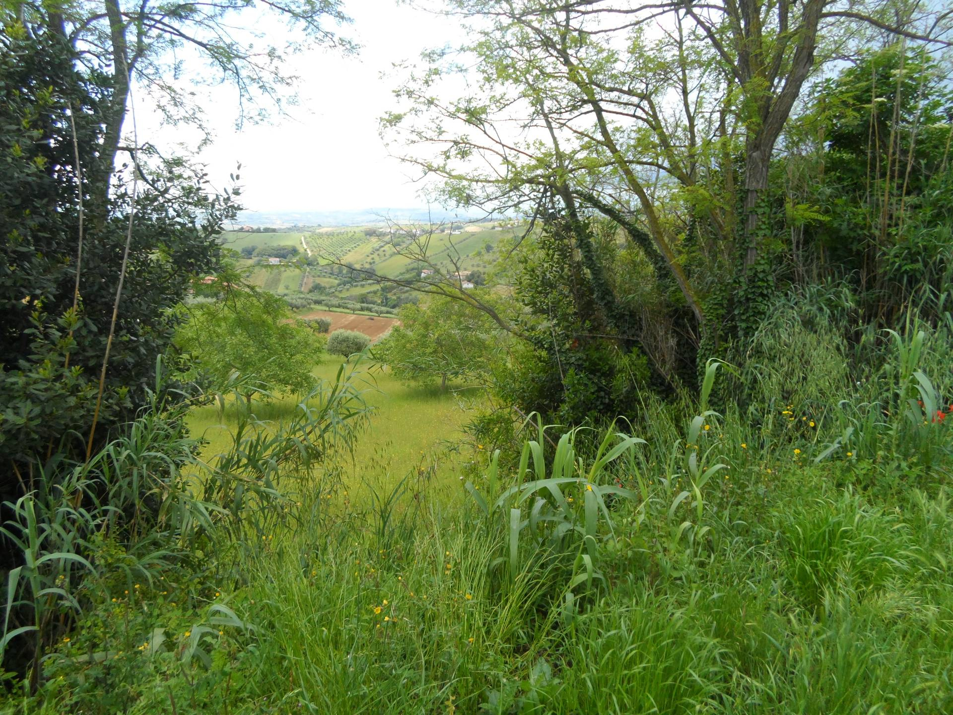 Terreno edificabile in vendita a Colonnella, Contrada Rio Moro