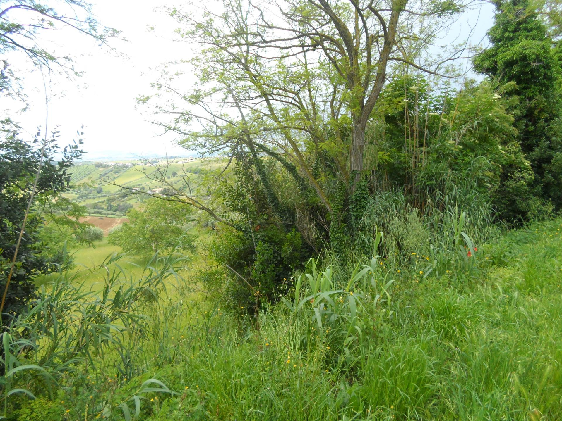 Terreno edificabile in vendita a Colonnella, Contrada Rio Moro