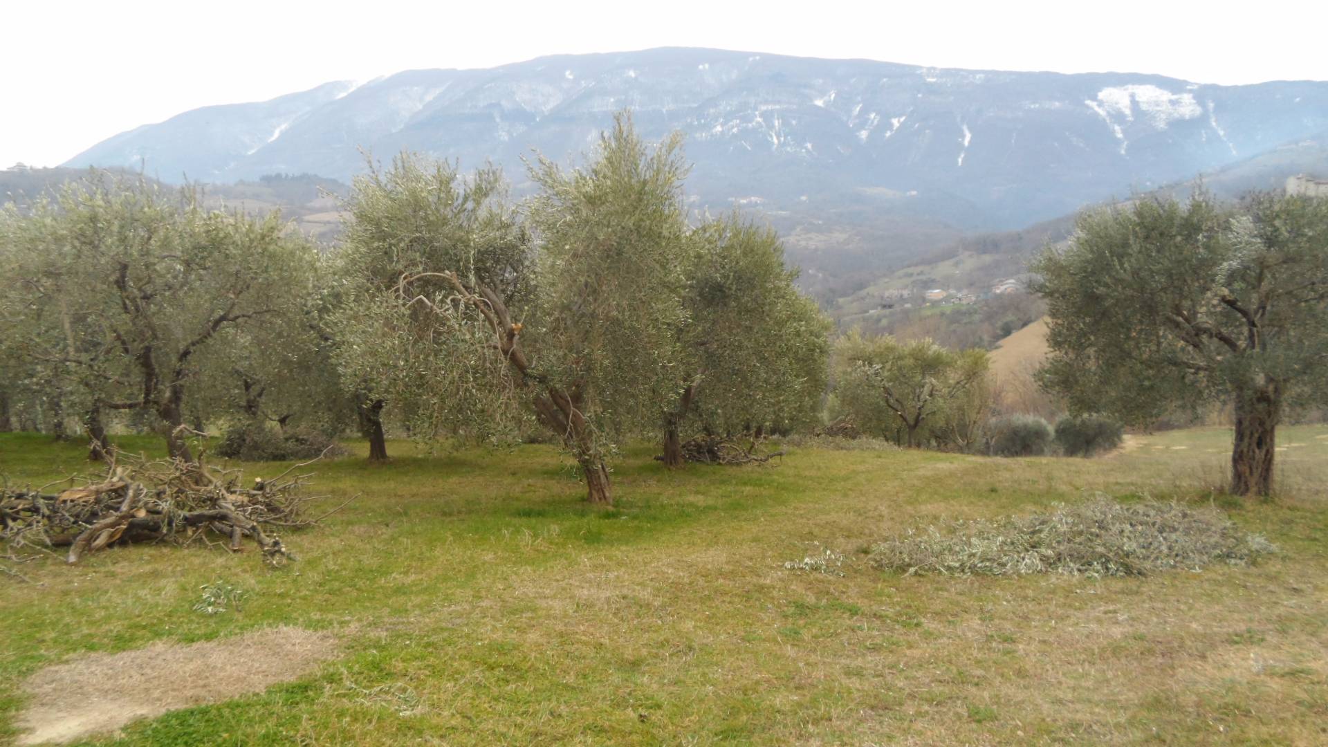 Casa indipendente in vendita a Folignano